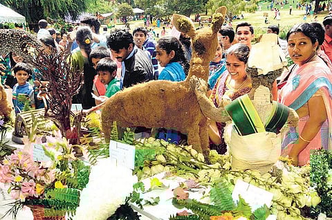 நீலகிரி மாவட்டத்தில் உதகை தவிர பிற சுற்றுலா தலங்களில் பயணிகள் கூட்டம் இல்லை: கட்டமைப்பு வசதிகளை மேம்படுத்த கோரிக்கை