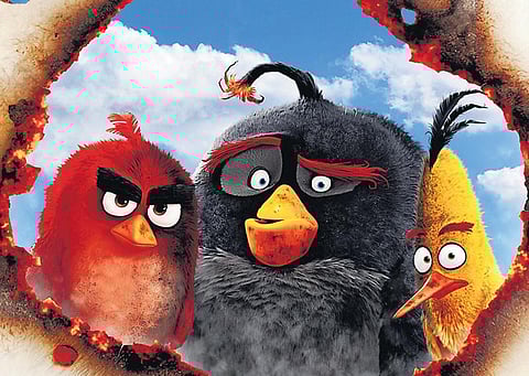 கலைடாஸ்கோப் : கோபத்தில் கொப்பளிக்கும் பறவைகள்