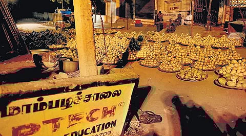 திருச்சி - ஸ்ரீரங்கம் செல்லும் வழியில் 100 ஆண்டுகளைக் கடந்தும் மவுசு குறையாத மாம்பழச் சாலை: சுற்றுலாப் பயணிகளை கவரும் ‘இமாம்பசந்த் ரகம்