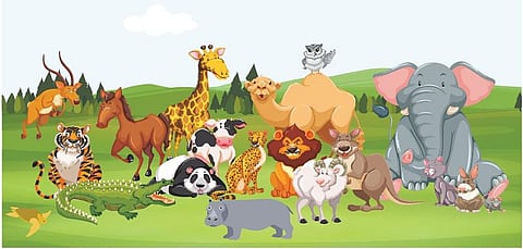 வேடிக்கை விலங்குகள்!