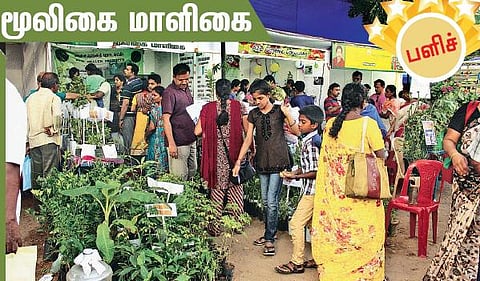 மூலிகை மாளிகை