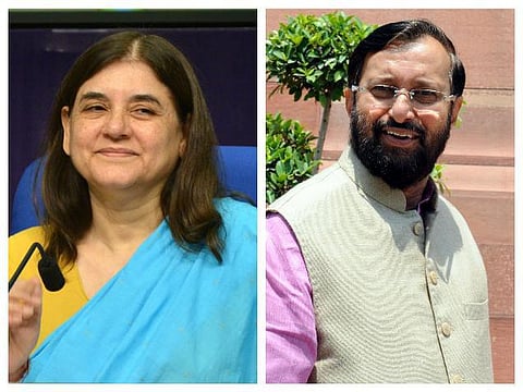 பிஹாரில் நீலா மான்களை சுட்டுக் கொல்ல அரசு அனுமதி: மத்திய அமைச்சர்கள் மேனகா, பிரகாஷ் ஜவடேகர் மோதல்