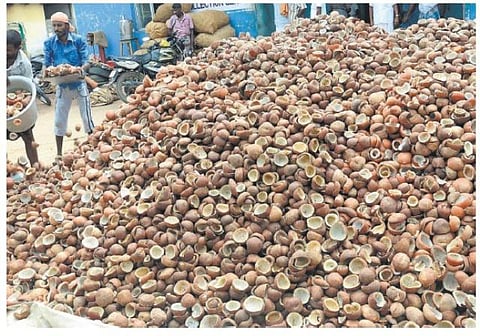 6 மாதங்களில் 50 ஆயிரம் மெட்ரிக் டன் வரை கொப்பரைத் தேங்காய் கொள்முதல்: கூட்டுறவுத் துறை மூலம் வாங்க வேளாண்துறை நடவடிக்கை