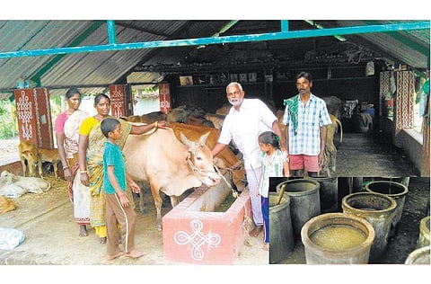 முன்னத்தி ஏர் 35: இயற்கை கரைசல்களால் ஊட்டம் பெறும் நெல்