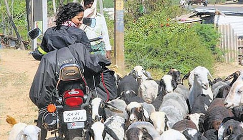 அசோகரின் ஆட்சியில் செழித்த நர்மதை தேசம்!