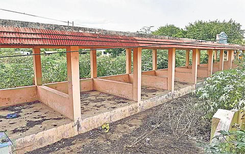 தனியார் சந்தைக்காக பேரூராட்சி சந்தைக்கு பூட்டு: வாடிப்பட்டி பேரூராட்சியின் ஒரு சார்பு நடவடிக்கையால் வியாபாரிகள் பாதிப்பு