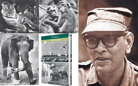 இயற்கையின் செய்தித் தொடர்பாளன்!