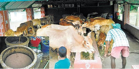 முன்னத்தி ஏர் 36: முதலீடோ குறைவு, லாபமோ அதிகம்