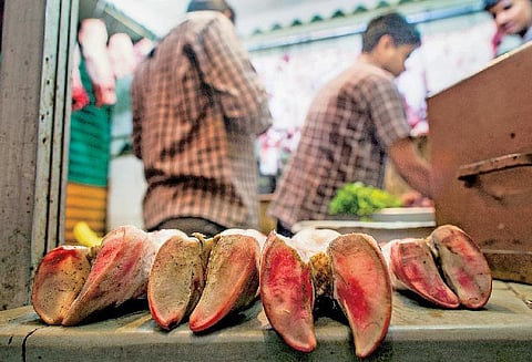 காளைகள் கொல்லப்படுவதை பீட்டா ஏன் தடுக்கவில்லை?