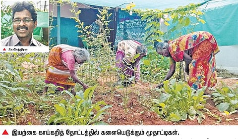 அன்பு இல்லமாக மாறிய ஆதரவற்றோர் இல்லம்!