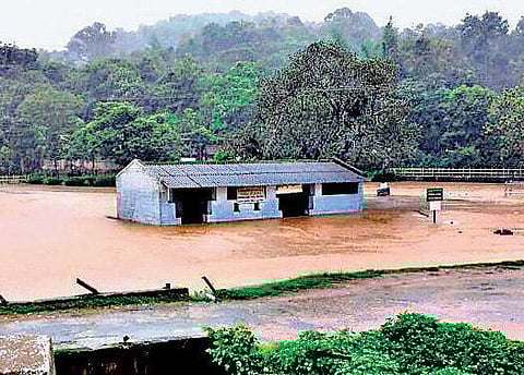 காவிரி நீர்ப்பிடிப்பு பகுதிகளில் கனமழை: கிருஷ்ண ராஜ சாகர், கபினி, ஹேமாவதி அணைகளுக்கு நீர்வரத்து அதிகரிப்பு - குடகில் பள்ளி, கல்லூரிகளுக்கு விடுமுறை