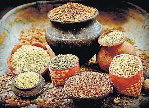 புரதச் சுரங்கம் 2: உடலுக்கு உரம் தரும் முதன்மைப் பருப்பு