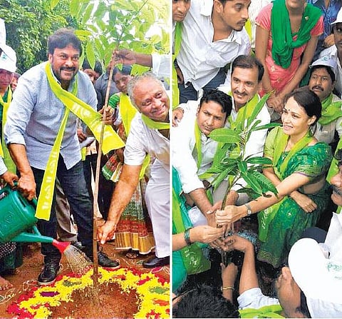 தெலங்கானாவில் பசுமை புரட்சி: 46 கோடி மரக்கன்றுகளை நட முடிவு