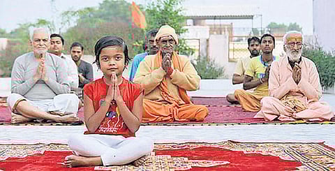 வாண்டு பாண்டு: உலகின் குட்டி யோகா குரு!