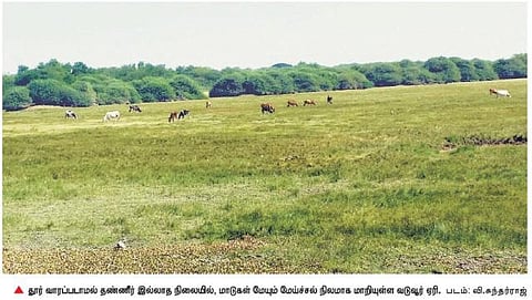 10 ஆயிரம் ஏக்கருக்கு பாசன வசதி அளிக்கும் சோழர் கால வடுவூர் ஏரி தூர்வாரப்படுமா?