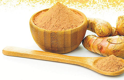 காய்ந்த மஞ்சள், பச்சை மஞ்சள் அமோக விளைச்சல் தரும் பிரதிபா ரகம்