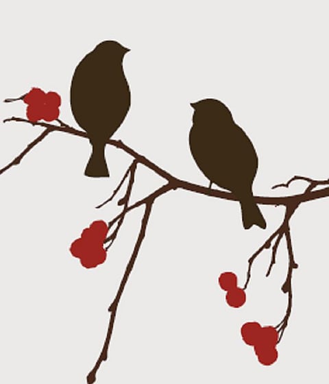 முண்டக உபநிஷதம்: பறவையின் கம்பீரம்!