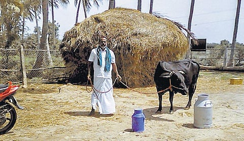 முன்னத்தி ஏர் 43: எல்லா நாளும் வருமானம் தரும் பண்ணை முறை