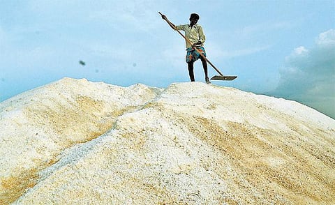 தூத்துக்குடி மாவட்டத்தில் உப்பு உற்பத்தி அதிகரிப்பு: வெளிமாநில ஏற்றுமதி குறைவு; உற்பத்தியாளர்கள் கவலை