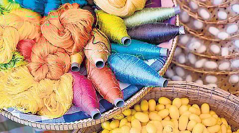 பட்டின் ரகசிய கதை!