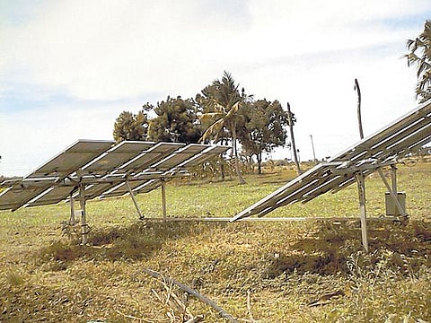 முன்னத்தி ஏர் 44: இயற்கைக் காய்கறி- லட்சம் ரூபாய்க்கு மேல் லாபம்