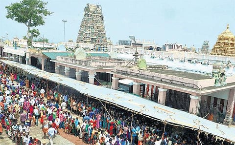 பழநி கோயிலில் தினமும் இலவசமாக 2 ஆயிரம் பக்தர்களுக்கு பஞ்சாமிர்த பிரசாதம்: அமைச்சர் சேவூர் ராமச்சந்திரன் தகவல்