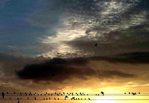 தவறாகிப் போன இந்திய வானிலை ஆய்வு மையத்தின் ஆகஸ்ட் மாத மழை கணிப்பு