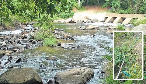 அட்டப்பாடியில் அணை கட்ட திட்டமிட்டுள்ள பகுதியில் நடப்பது என்ன?