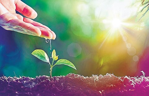 செலவின்றிக் கிடைக்கும் இயற்கை உரம்: திருவள்ளூர் விவசாயிகளின் முன்னோடி முயற்சி