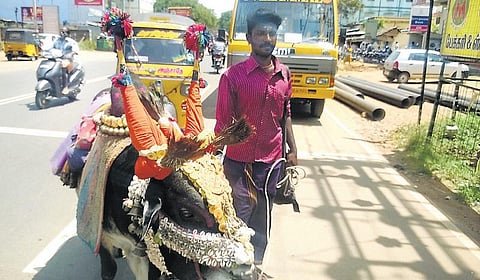 கேரளத்துக்கு அடிமாடாக அனுப்புவதை தவிர்க்க ‘பூம்பூம்’ மாட்டுக்காரர்களுக்கு காளை கன்றுகள் தானம்