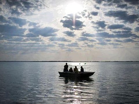 வெப்பமயமாகும் கடல்களும் விசித்திர நோய்களும்: விஞ்ஞானிகள் எச்சரிக்கை