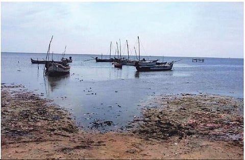 சேற்றில் இறங்கித் தவிக்கும் நாட்டுப்படகு மீனவர்கள்: போதிய வசதிகளுடன் புதுகையில் மீன்பிடி இறங்குதளங்கள் அமைக்கப்படுமா?