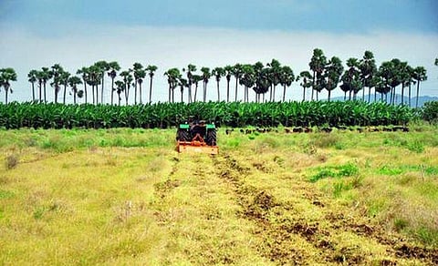 அந்தமான் விவசாயம் 01: வேளாண்மையே முதன்மை