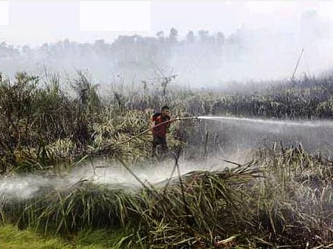 இந்தோனேசிய 4 மாத காட்டுத்தீ தாக்கத்துக்கு 1 லட்சம் இறப்புகள்: ஆய்வு