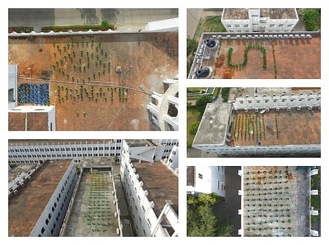 சத்யபாமா பல்கலை.யில் இயற்கை முறையில் மாடித்தோட்டம்