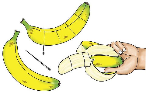மேஜிக்...மேஜிக்...: வாழைப்பழத்துக்குள் தந்திரம்!