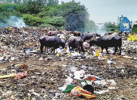நன்மங்கலம் செம்பாக்கம் இடையே எல்லைப் பிரச்சினையால் மலைபோல் தேங்கிய குப்பைகள்: பொதுமக்கள் கடும் அவதி