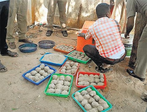 கூடங்குளம் அருகே பதுக்கி வைக்கப்பட்டிருந்த 112 நாட்டு வெடிகுண்டுகள் பறிமுதல்