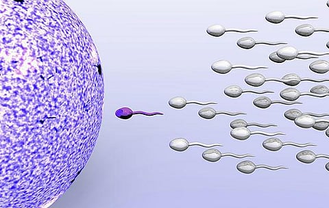 விந்தணுவுக்கும் வந்துவிட்டது மொபைல் அப்ளிகேஷன்: பிரிட்டனில் முதல்முறையாக அறிமுகம்