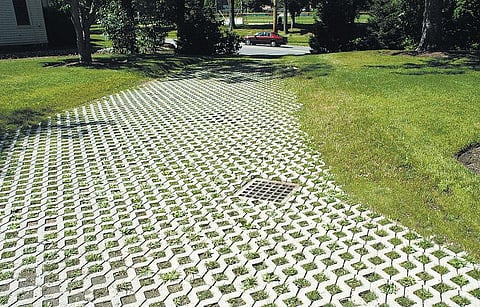 நமக்குத் தேவையான பசுமைப் பாடங்கள்