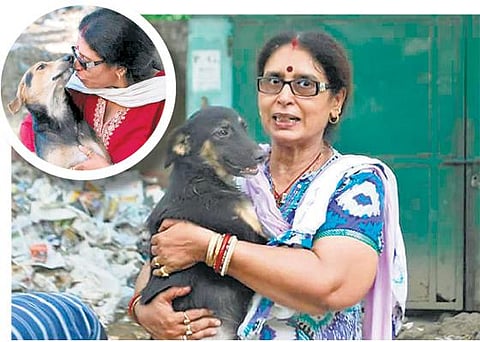 முகங்கள்: நாய்களின் தாய்