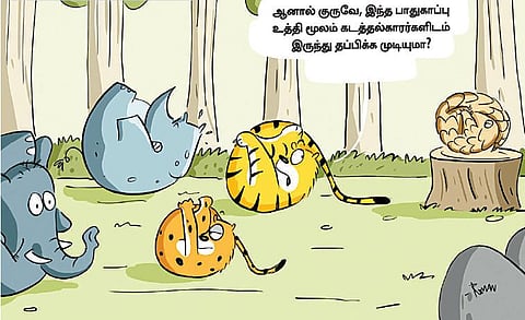 இது ‘பசுமை சிரிப்பு’