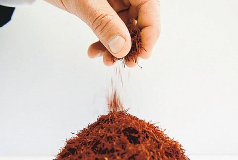 புற்றுநோய்க்கும் குங்குமப்பூவுக்கும் என்ன சம்பந்தம்?