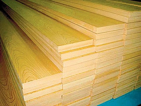 வீட்டுக்கான பசுமைப் பாடங்கள்!