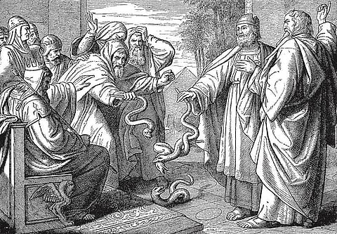 பைபிள் கதைகள் 23: பாம்பாக மாறிய கைத்தடி!