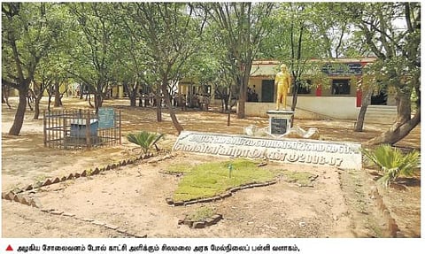 போடி அருகே அரசுப் பள்ளியில் ஆயிரம் மரங்களை வளர்த்து அசத்திய மாணவர்கள்