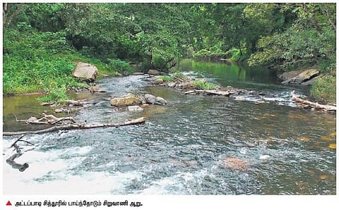 சிறுவாணி அணை விவகாரம்: தடையை மீறி மீண்டும் அட்டப்பாடிக்குச் செல்லும் தமிழக கட்டுமானப் பொருட்கள்?