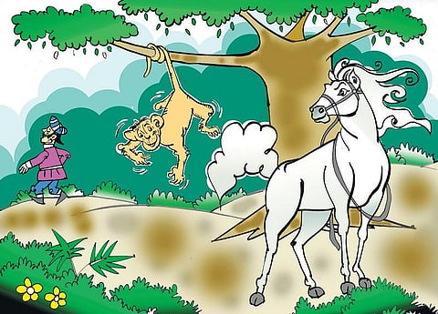 சித்திரக் கதை: வரிக்குதிரையான வெள்ளைக்குதிரை!