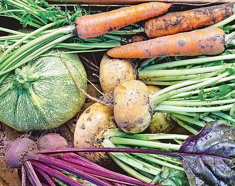 இயற்கை வேளாண்மை வெற்றிக்கு வழியா?