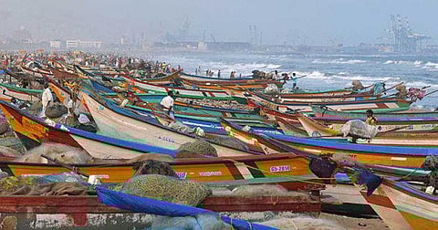 திடீர் மீன்பிடி தடைக்கு சுற்றுச்சூழல் பாதுகாப்பு காரணமா? அதிகாரிகள் சதியா?- நொச்சிக்குப்பம் மீனவர்கள் வேதனை